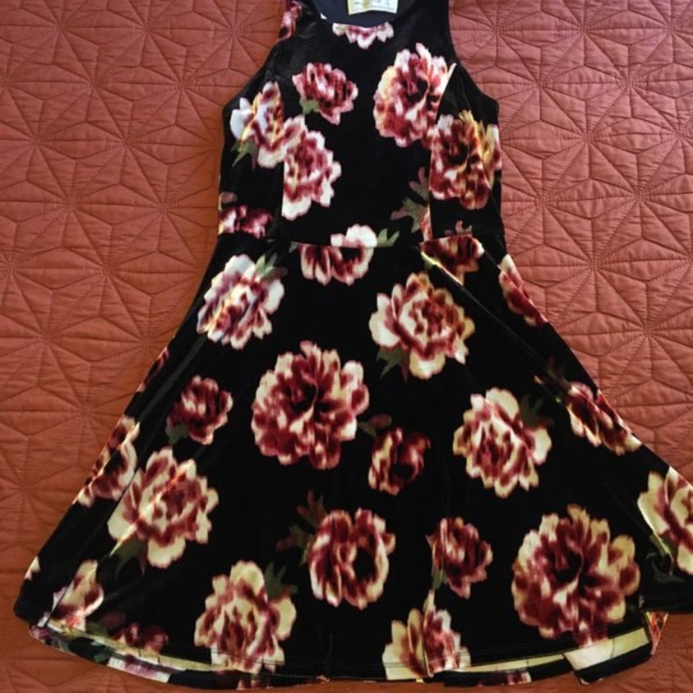 Abercrombie velvety floral dress